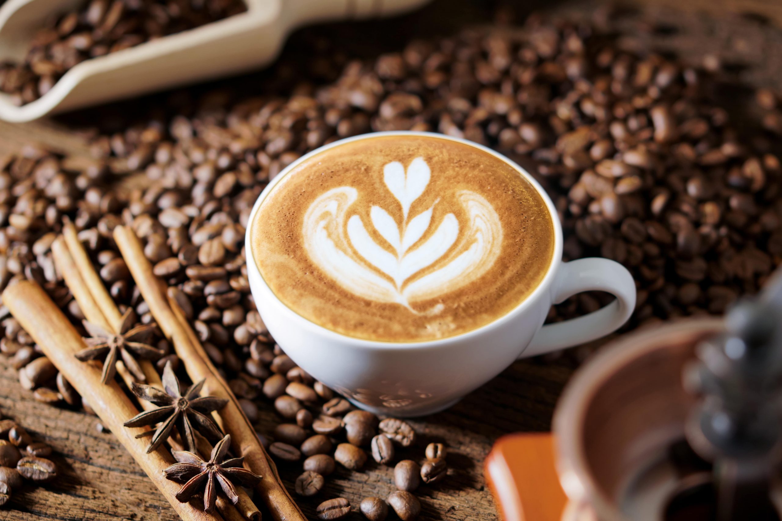Jenis-jenis kopi